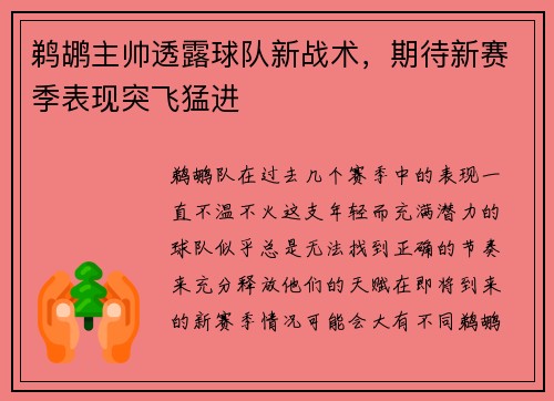 鹈鹕主帅透露球队新战术，期待新赛季表现突飞猛进