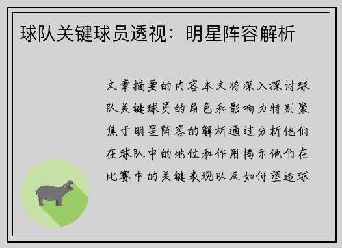 球队关键球员透视：明星阵容解析