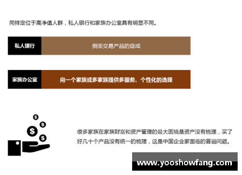 开云电子官方网站2023年家族办公室研究报告：掌握财富传承与管理的未来 - 副本 (2)